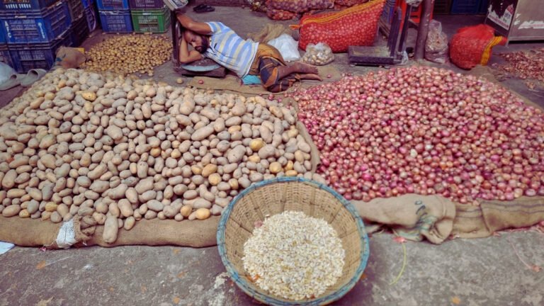 ছবি: ডিএসজে আর্কাইভ